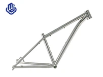 Titanium MTB ramme